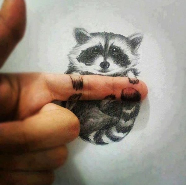 Енот цветными карандашами