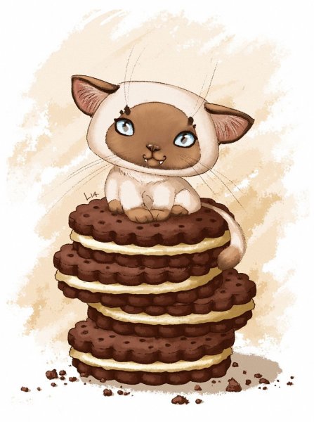 Кот печенька