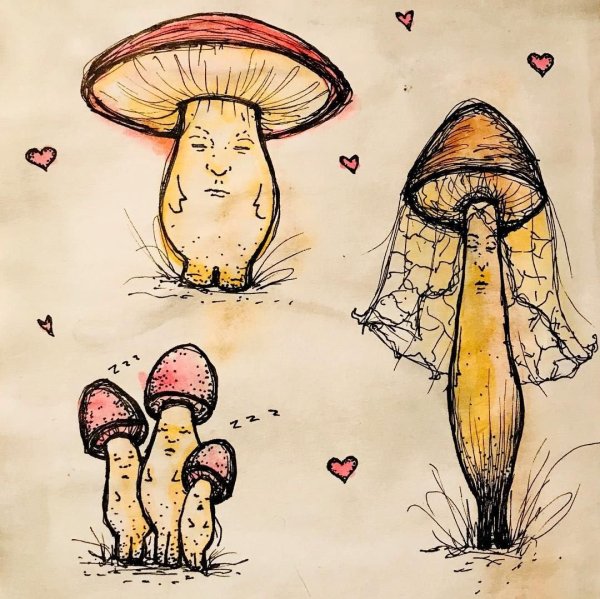 Грибы арт для срисовки