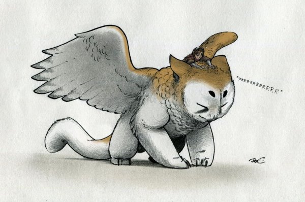 Грифон сипуха