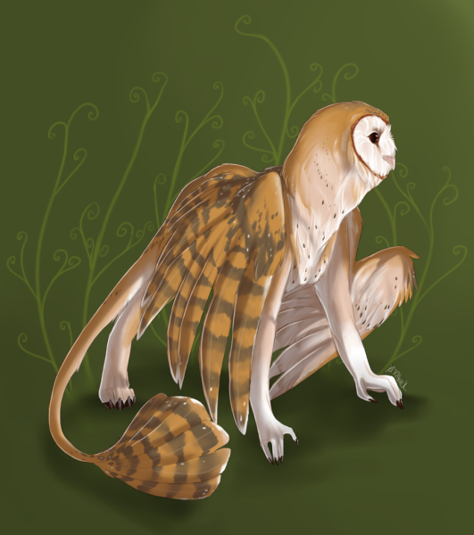 Грифон Котосова