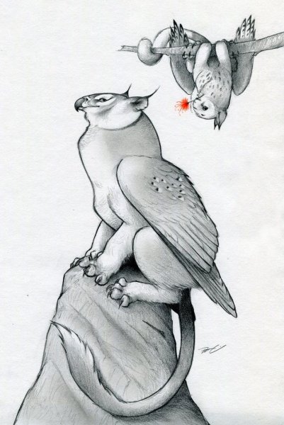 Грифон Котосова