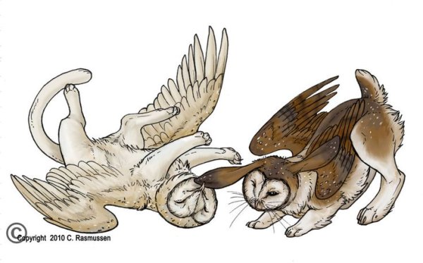 Грифон сипуха