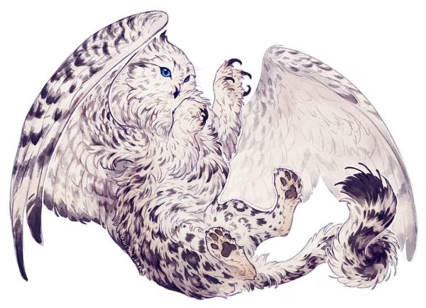 Грифон Котосова