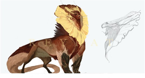 Концепт животных