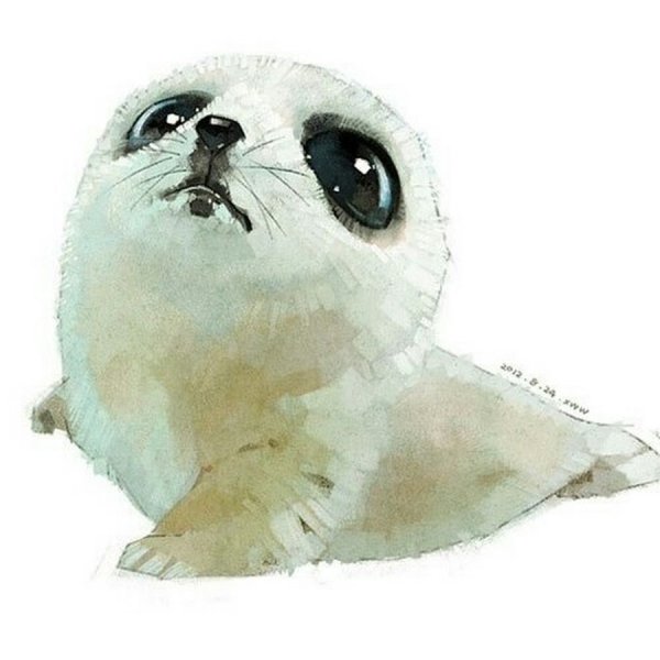 Художник Wawa Xue