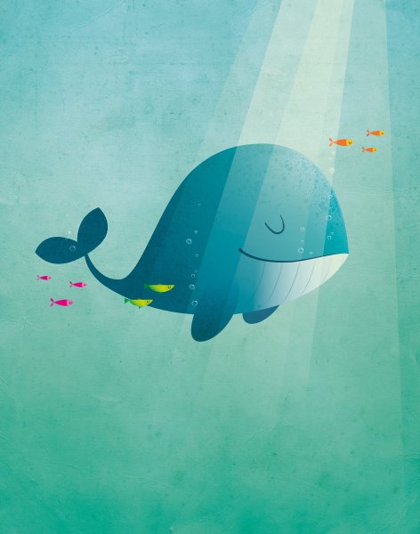 Киты Минимализм