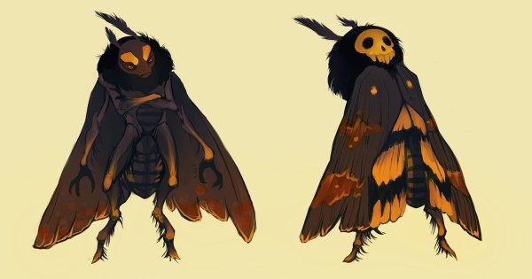 Mothman человек мотылек Art