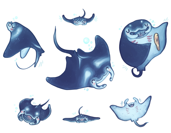 Скат иллюстрация