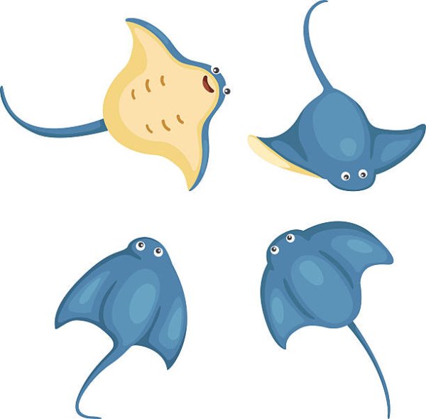 Скат вектор