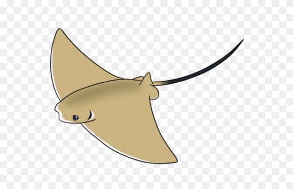 Stingray Clipart