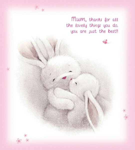 Обнимашки зайки