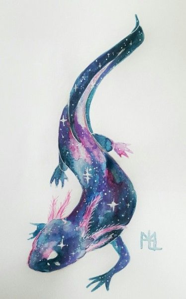 Чёрный аксолотль арт