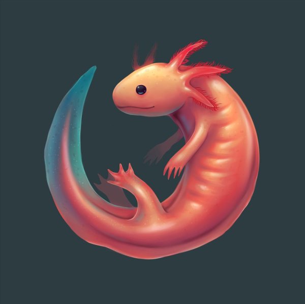 Аксолотль мультяшно