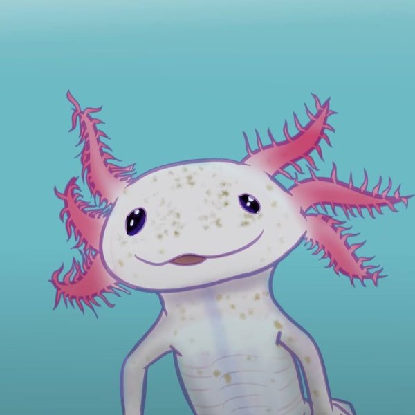 Аксолотль ФОРТНАЙТ арт