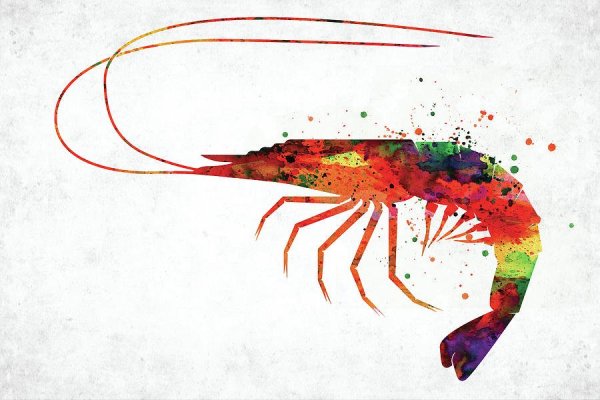 Креветки для рисования