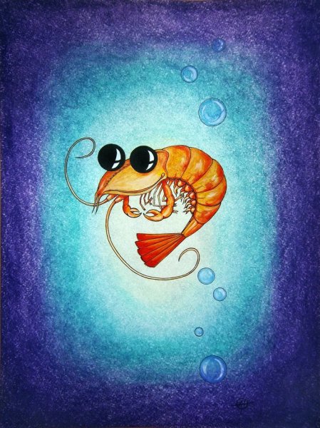 Креветка рисунок