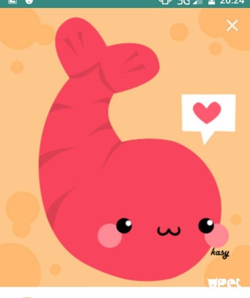 Смешная креветка