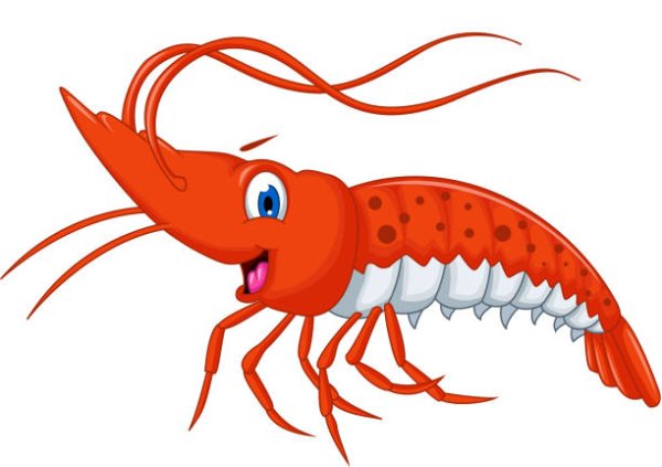 Креветка мультяшная