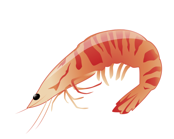 Креветки мультяшные