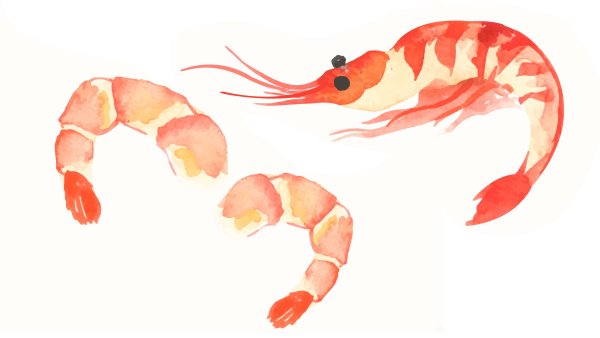Креветка нарисованная