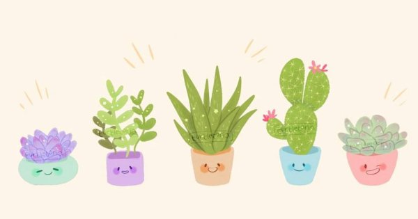 Милые маленькие растения