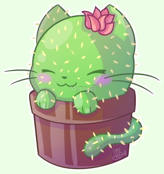 Кавайные кактусы