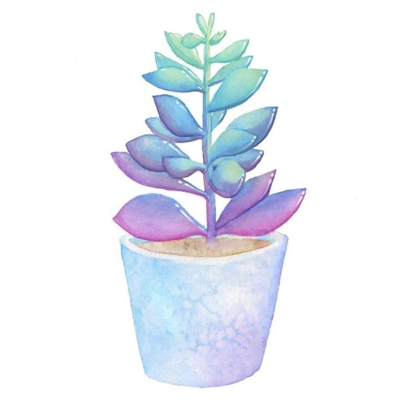 Горшок для цветов для срисовки