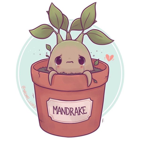 Мандрагора Гарри Поттер