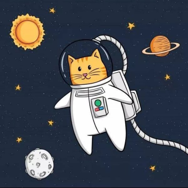 Мультяшные котики космонавты