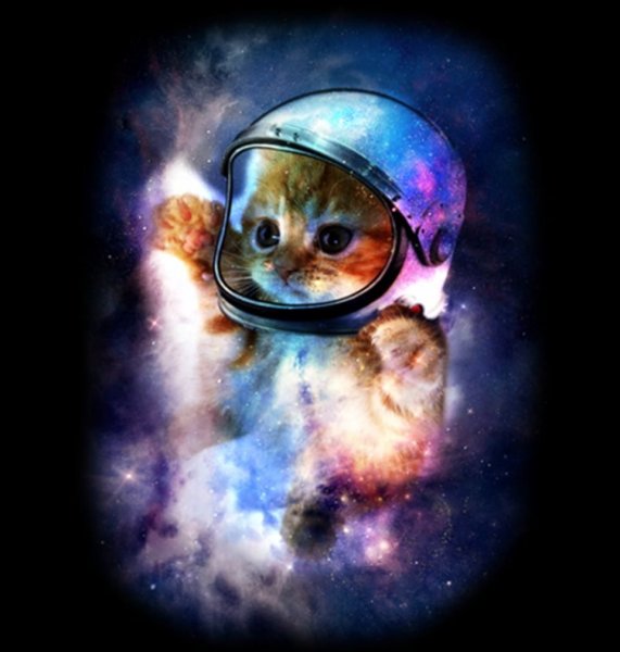 Кот космонавт