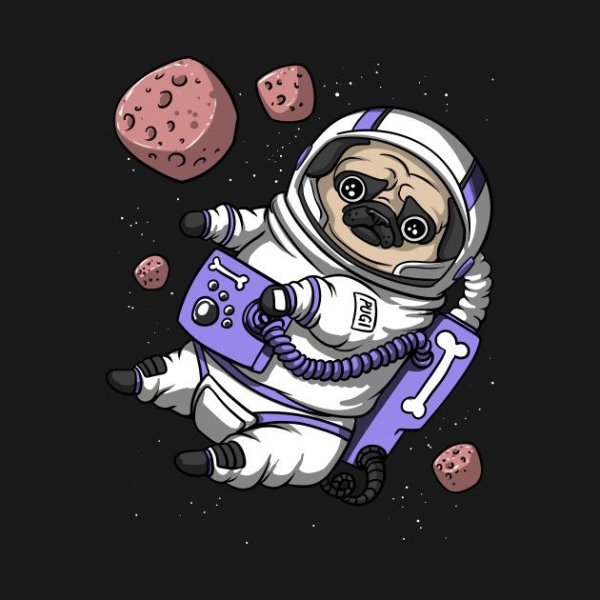 Мопс в космосе