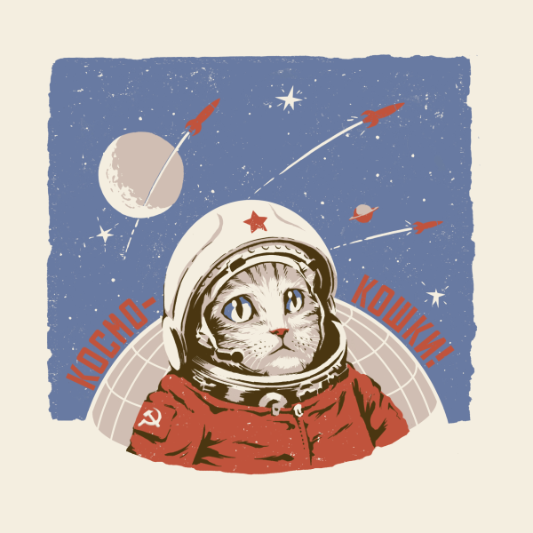 Коты космонавты