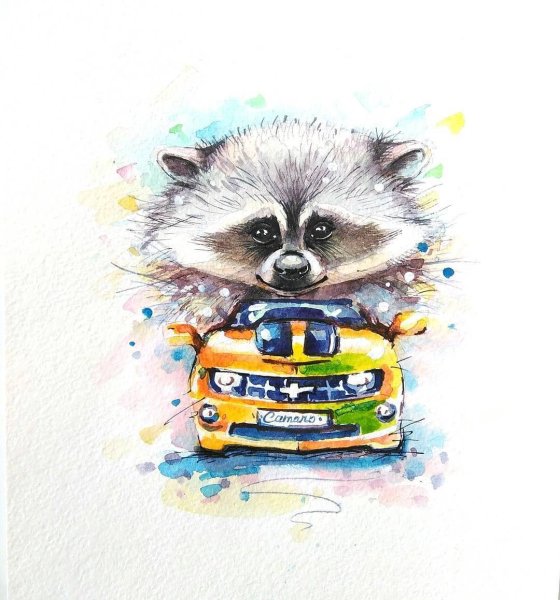 Акварельные енот рисунки