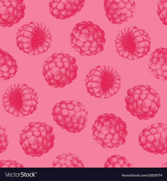 Малина паттерн вектор