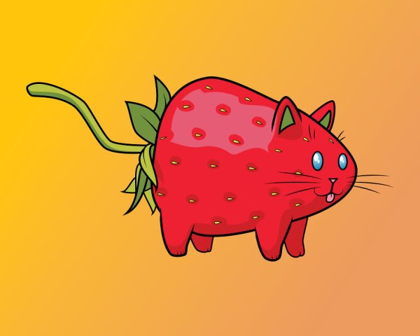 Кот клубника