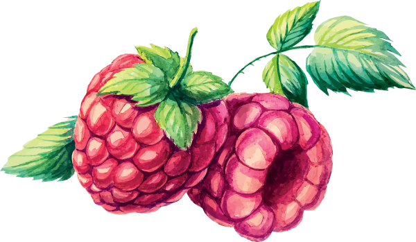 Малина акварель