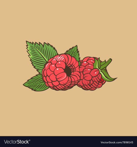 Малина стилизованная