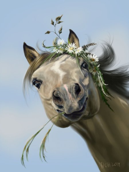 Лошадь подмигивает