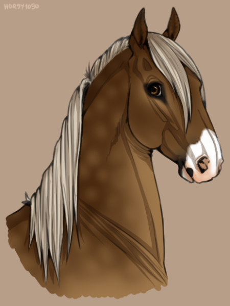 Милые арты лошадей