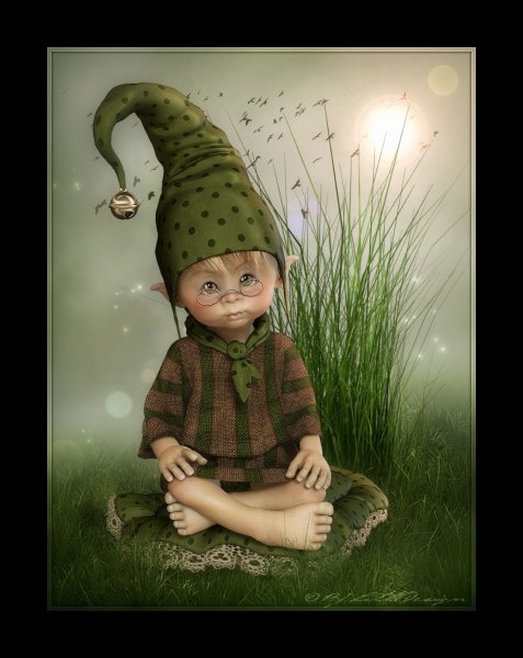 Гномы и эльфы