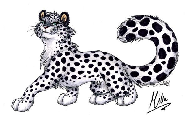 Нарисовать леопарда арт