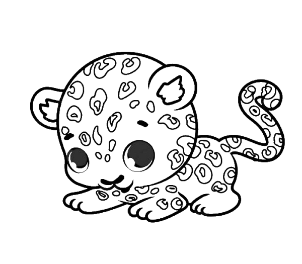 Леопард Оцелот Ягуар