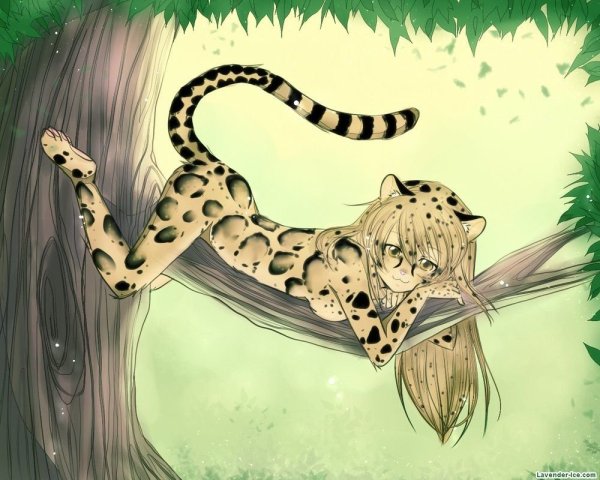 Король Лев гепард