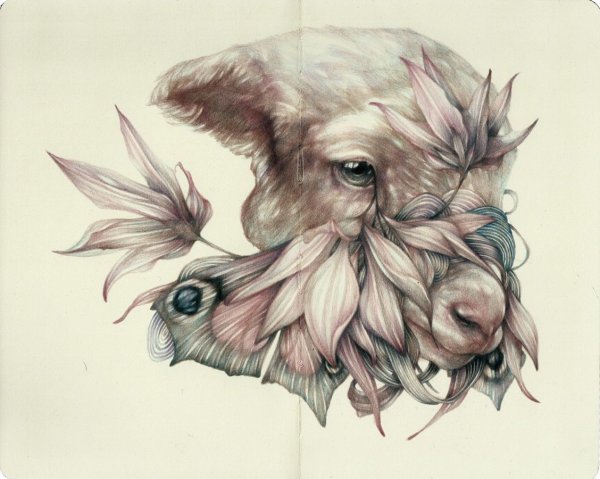 Необычные существа карандашом