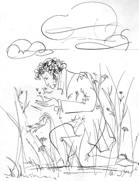 Елена Шипицова рисунки Пушкин