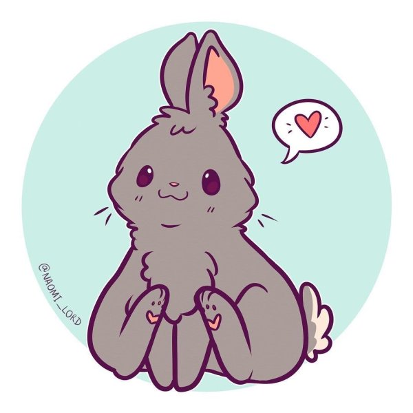 Наоми Лорд лама