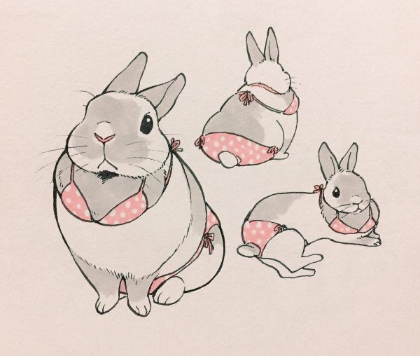 Кролик скетч