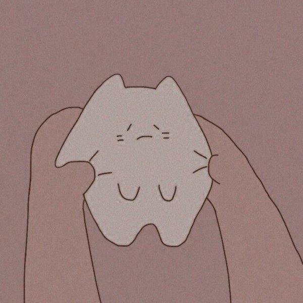 Аниме кот Эстетика