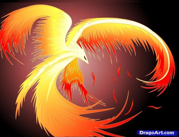 Милый Феникс